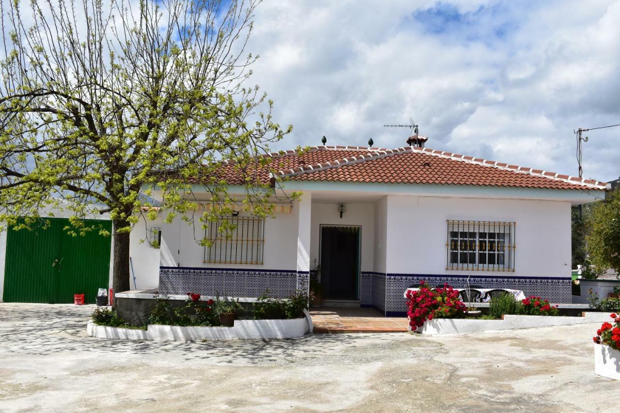 Casa Rural Alejo - Malaga — Photos 3